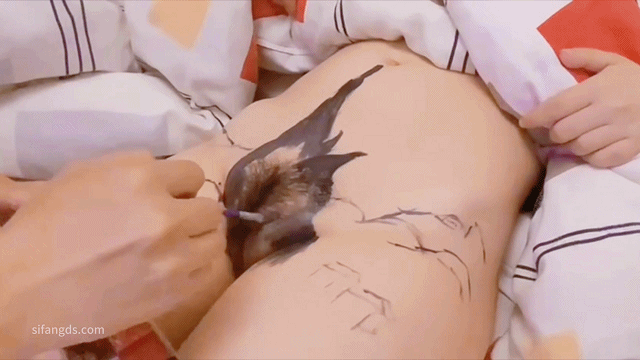 image-7