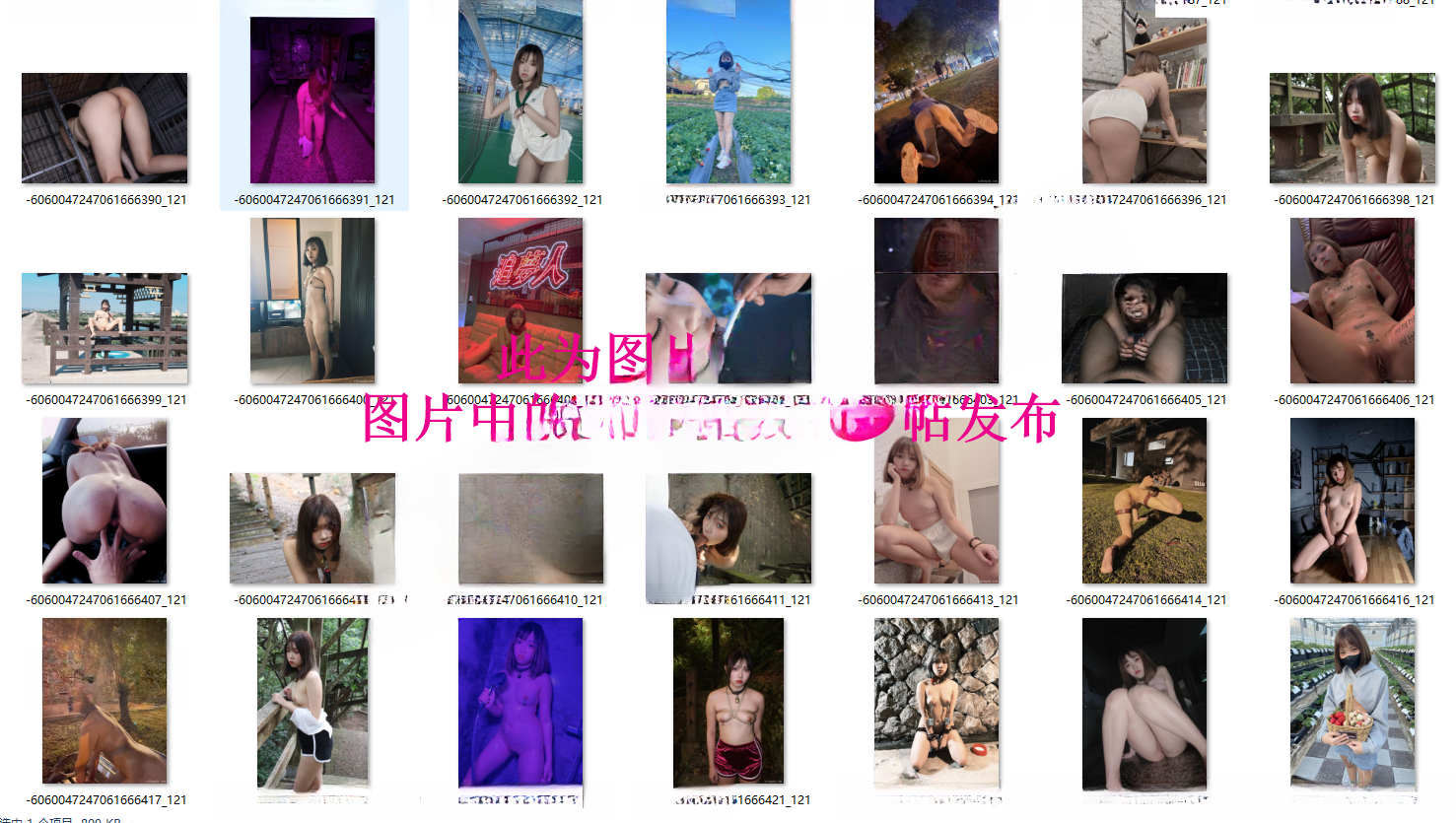 image-11